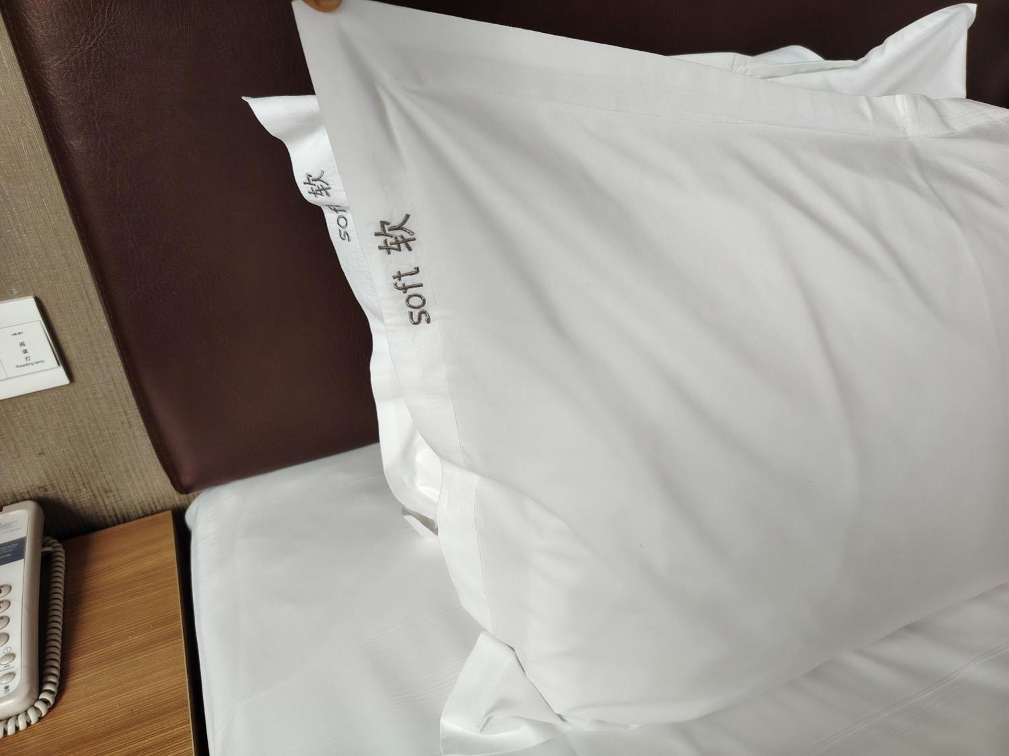 Holiday Inn Express Ordos Dongsheng By Ihg Extérieur photo